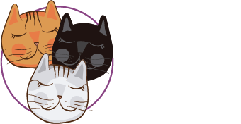 Agência Catz