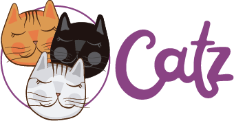 Agência Catz